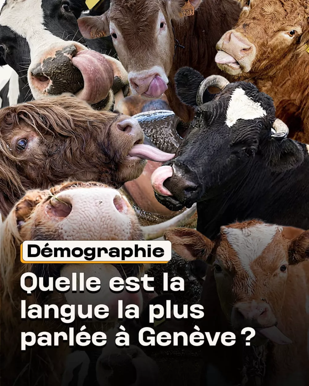 Quelle est la langue la plus parlée à Genève ? 