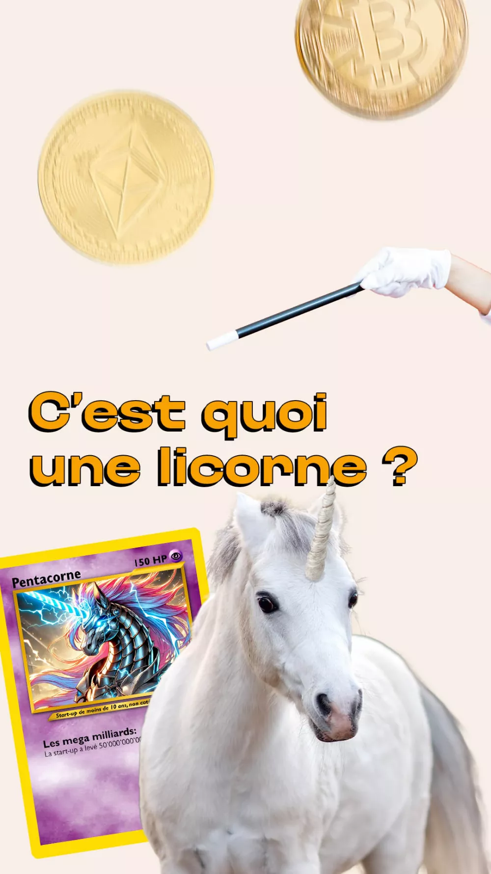 C'est quoi une licorne?