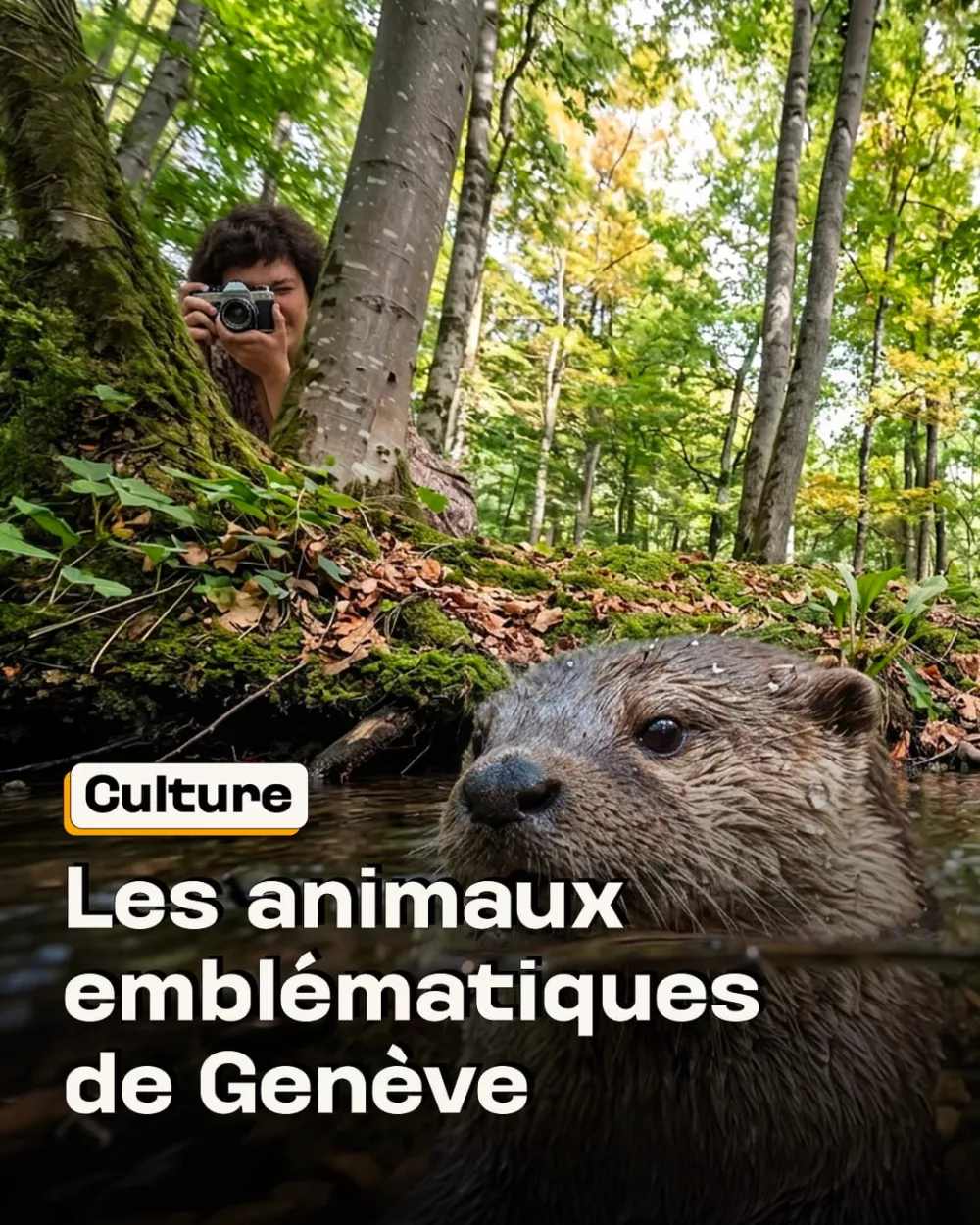Ces animaux font, chacun à leur manière, partie du patrimoine genevois.